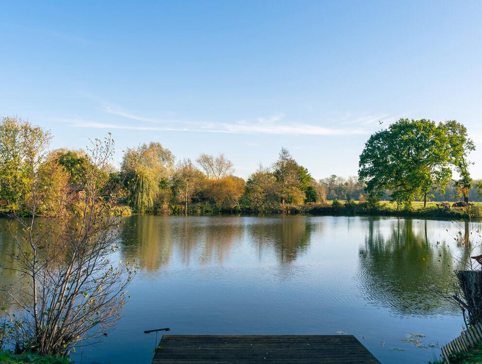 The Gardens
